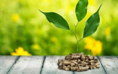caldaia a biomassa costo vantaggi
